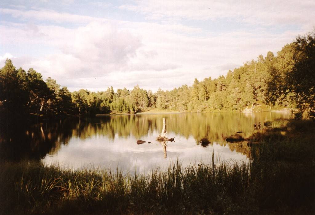 Der See Høgretjørni liegt in einer Höhe von 535 Meter mitten im Wald. Es verschlägt einem den Atem, wenn man ihn unverhofft in der Abendsonne vor sich sieht.