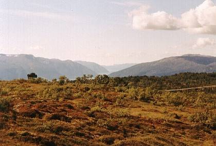 Wir sind auf dem Aussichtspunkt ohne Namen in 753 Meter H&ouml;he und schauen in Richtung Westen &uuml;ber den Sognefjorden hinweg.