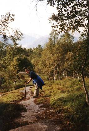 Hier ist der Weg wieder markiert, wir wandern nun in Richtung Vangsnes.