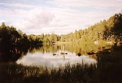 Der See H&oslash;gretj&oslash;rni liegt in einer H&ouml;he von 535 Meter mitten im Wald. Es verschl&auml;gt einem den Atem, wenn man ihn unverhofft in der Abendsonne vor sich sieht.