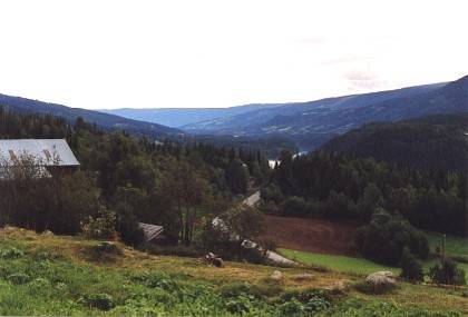 Blick von der Stabkirche in H&oslash;re hinab zum Slidrefjorden.