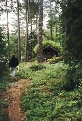 Eine Fischerhütte aus Haldorsynøyn. Besonders imposant ist auch der Dachbewuchs.