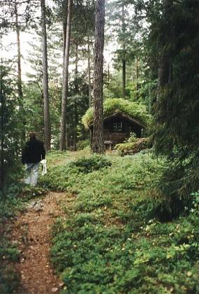 Eine Fischerh&uuml;tte aus Haldorsyn&oslash;yn. Besonders imposant ist auch der Dachbewuchs.