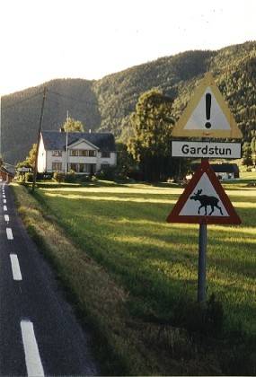 Gardstun ist eine Hofanlage, da kann schon mal ein Trecker die Fahrbahn queren.