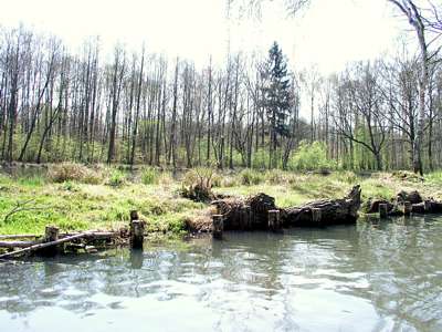 Ein Foto vom rechten Ufer, schr&auml;g nach hinten aufgenommen, der kleine Fischzuchtteich, der Verbindung mit dem B&uuml;rgerflie&szlig; hat, ist zu erkennen.