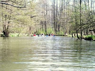 Die Kajak-Paddler legen ordentlich Tempo vor.