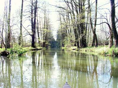 Der Burg-L&uuml;bbener-Kanal verl&auml;uft schnurgerade von Ost nach West.