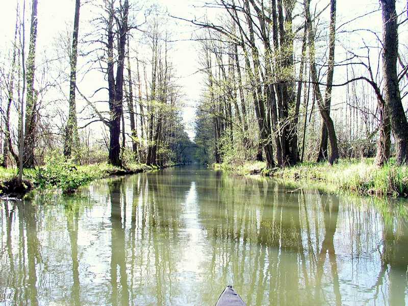 Der Burg-L&uuml;bbener-Kanal verl&auml;uft schnurgerade von Ost nach West.