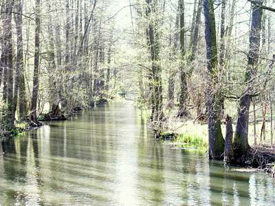 Blick in die andere, die westliche Richtung. Dorthin wollen wir nachher paddeln.