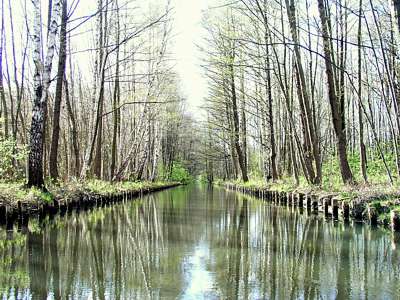 Schnurgerade verl&auml;uft der Burg-L&uuml;bbener-Kanal. Ganz in der Ferne ist die Br&uuml;cke am Abzweig B&uuml;rgerflie&szlig; zu ahnen. 
