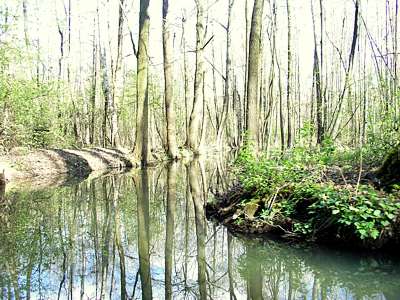 Nach dem B-L-Kanal ist der Lehder Graben eng und verwinkelt. Er verl&auml;uft in Nord-S&uuml;d-Richtung. 