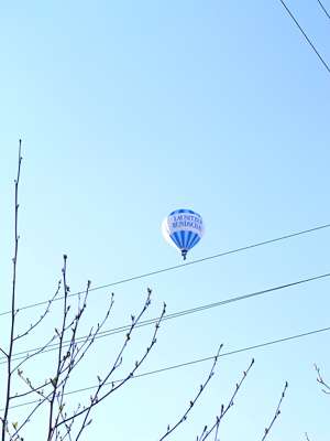 Von der Hauptspree aus sehen wir diesen Ballon in der Abendsonne. Den Spreewald von oben zu erkunden ist bestimmt auch sehr interessant.