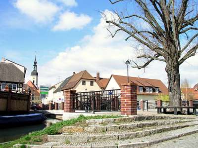 Ein sehr stimmungsvolles Bild, der alte Baum am Ufer der Hauptspree, die wundersch&ouml;nen H&auml;user der Altstadt und all das &uuml;berragt der Glockenturm der Nikolaikirche.