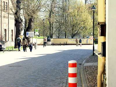 Wir sind zur&uuml;ck am Schlossgel&auml;nde. Bemerkenswert sind die uralten B&auml;ume, die auf der linken Stra&szlig;enseite stehen.