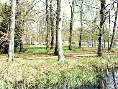 Inmitten des Schlo&szlig;parkes, in einer wunderbaren Lage zwischen Schloss und Lehder Flie&szlig; befindet sich der Campingplatz.