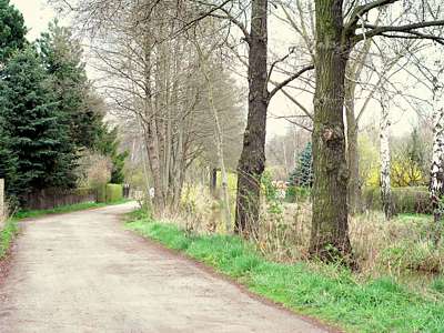 Rundherum befinden sich Kleing&auml;rten, die Stra&szlig;e ist eher ein befestigter Weg.