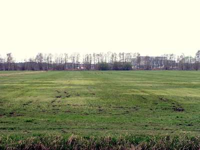 In der Ferne sieht man das Industrie- und Gewerbegebiet Spreewalddreieck, auf dem Feld zwischen uns und der Bahnlinie eine Gruppe Rehe. 