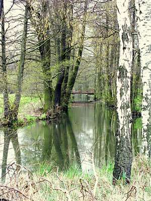 Eine Br&uuml;cke &uuml;ber den S&uuml;dumfluter, rechts geht die Obere Boblitzer Kahnfahrt ab.