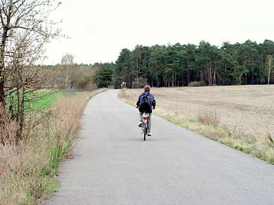 Wir fahren auf den Wald zu, in dem der Badesee liegt.