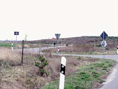 Der einzige Wald, den es in diesem ehemaligen Tagebau gibt, ist der Schilderwald.