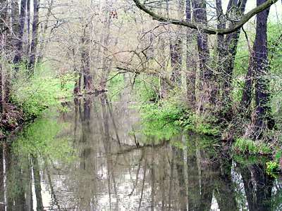 Wir haben nun schon die Hauptspree erreicht und &uuml;berqueren sie.