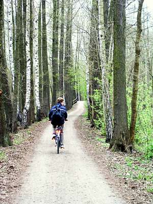 Der Radweg f&uuml;hrt durch den Wald.