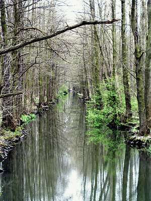 Der Semisch-Kanal s&uuml;dw&auml;rts.