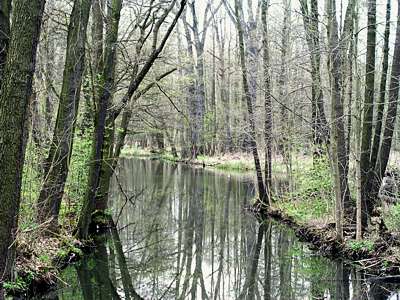 Der Semisch-Kanal m&uuml;ndet nordw&auml;rts in die Hauptspree.