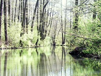 Auf dem B&uuml;rgerflie&szlig; in Richtung Norden - Wehrkanal und Wotschofska sind weit hinter uns, hier ist man allein mit der Natur.