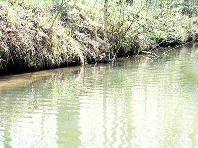 Kurz bevor wir die Sch&auml;nke erreichen, treffen wir diese Beiden.