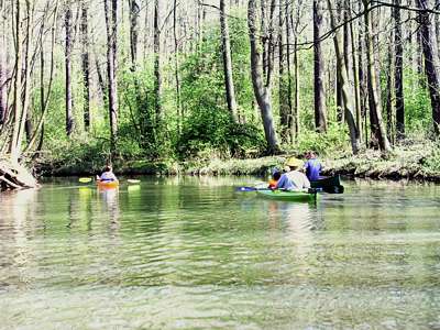 Rund um die Gastst&auml;tte Eiche sind wieder mehr Paddler unterwegs.