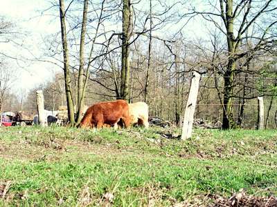 Auch hier wird nat&uuml;rlich Landwirtschaft betrieben.
