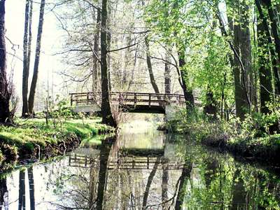 Der Buschgraben ist sehr romantisch.