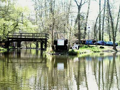 Bitte recht freundlich! Von dieser Kanzel an der Hauptspree werden &uuml;blicherweise die Stakk&auml;hne fotografiert.