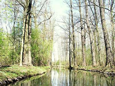Das Flie&szlig; ist enger als die Hauptspree.