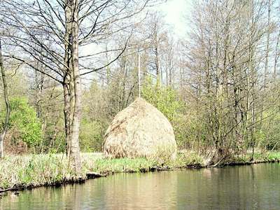 Spreewaldtypisch - auf dieser Wiese wird Heu gemacht, so aufgeschichtet und bei Bedarf mit dem Kahn abgeholt. Die Vorratshaltung findet vor Ort im Freien statt.