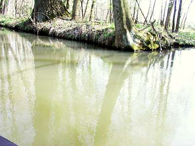 Aufregung im Boot - im Wasser schwimmt eine Schlange.