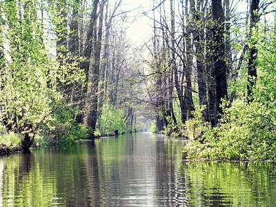 Wir paddeln auf dem Burg-Lübbener-Kanal zurück bis zur Schleuse am Leiper Graben.