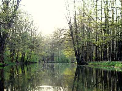 Die abendliche Hauptspree allein entlangzupaddeln ist ein H&ouml;hepunkt jeder Paddeltour.