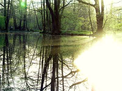 Die letzte Abendsonne.