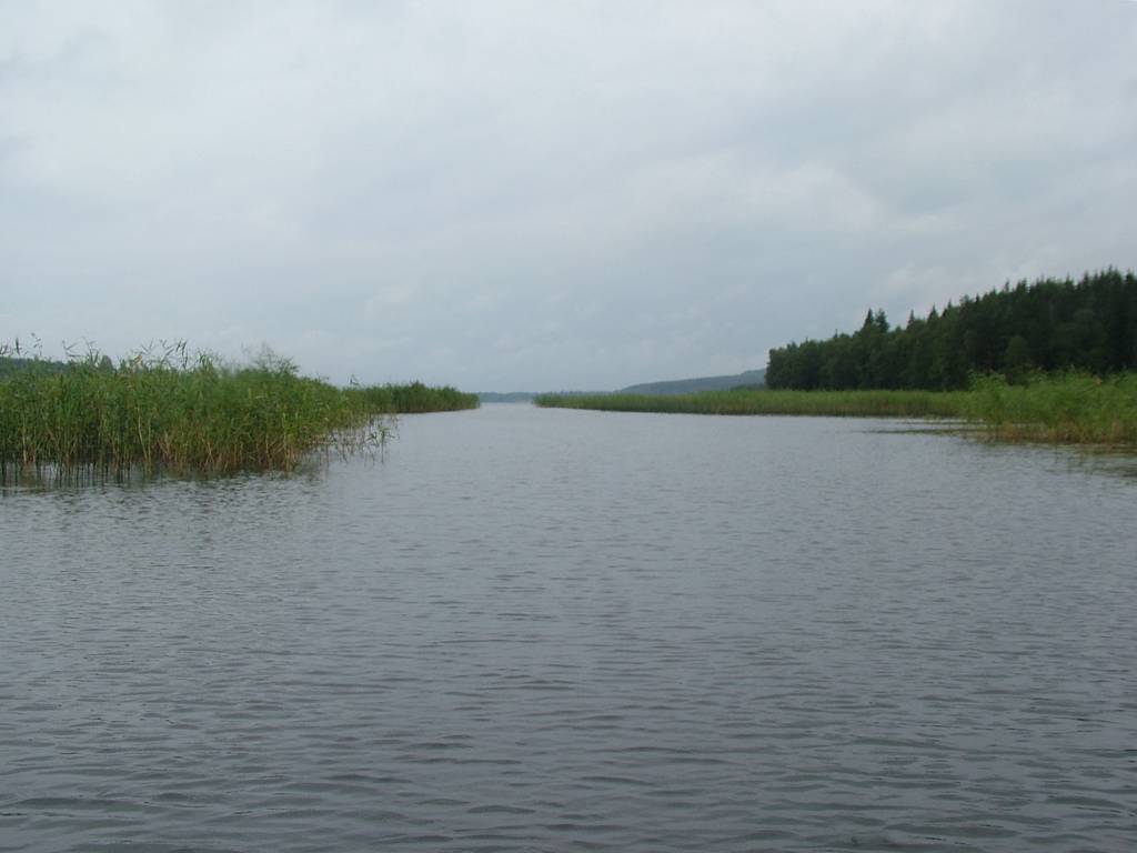 Der Stor-Lungen ist ein sehr großer See mit vielen Schilffeldern in seinem nördlichen Teil.