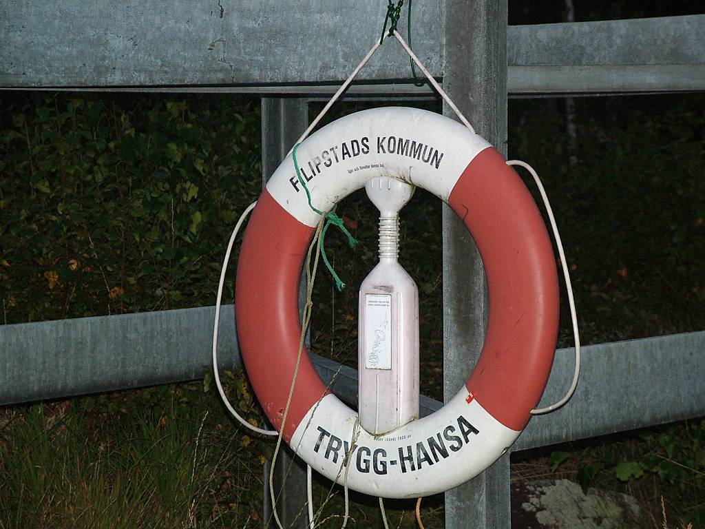Sie hängen überall an Schwedens Seen.