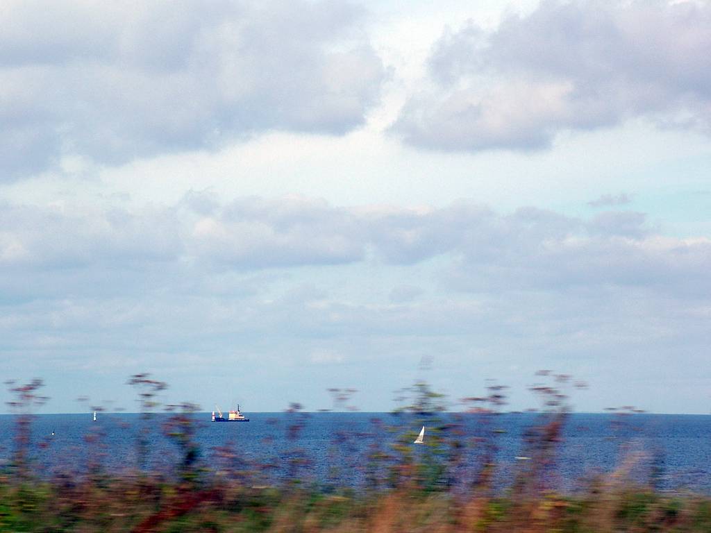 Blick über den Öresund.