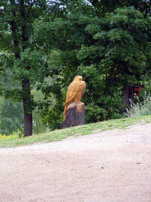 Wer hat diesen tollen Vogel gemacht?