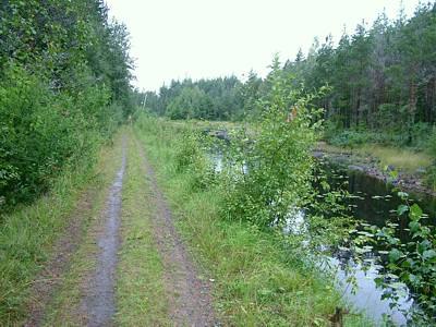 Der Weg verl&auml;uft parallel zum Kanal.