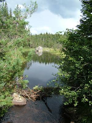 Hier beginnt der Hyttsj&ouml;n.