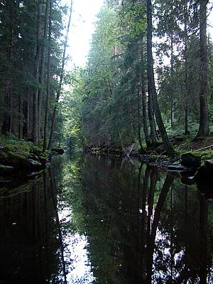 Die Reflektionen sind zauberhaft.