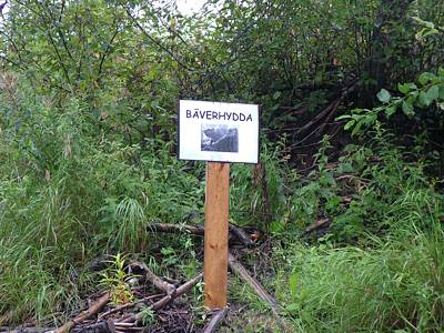 Eine &rdquo;B&auml;verhydda&rdquo;.