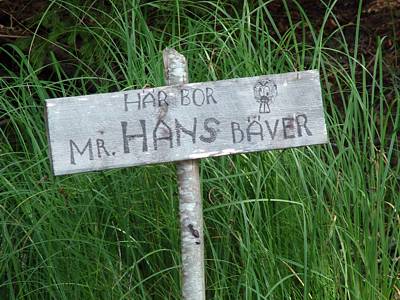 ...es ist Mr. Hans Bäver!